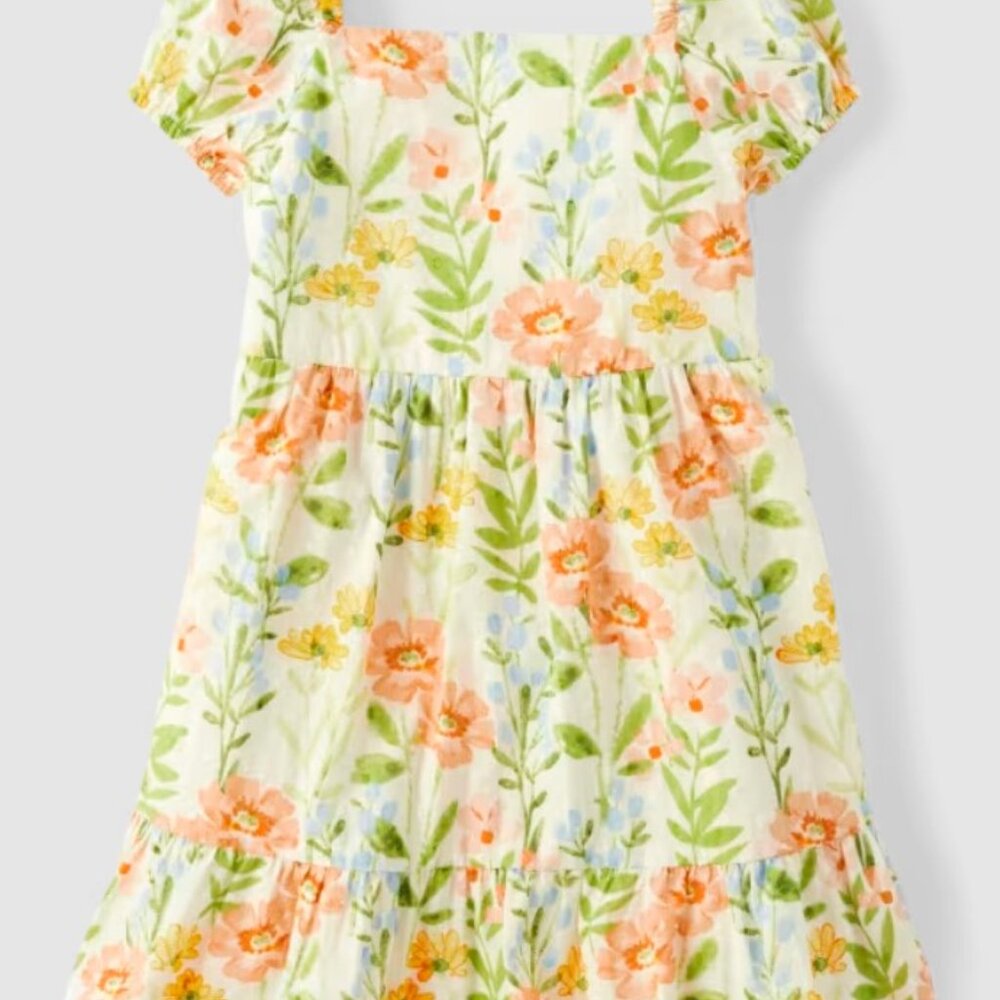 Gymboree Girls 4T Floral Prairie Fields Short Sleeve Dress Smocked Spring Light